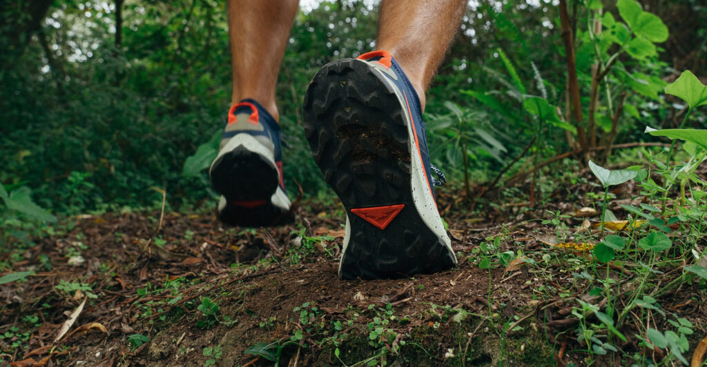 nike pegasus in nature